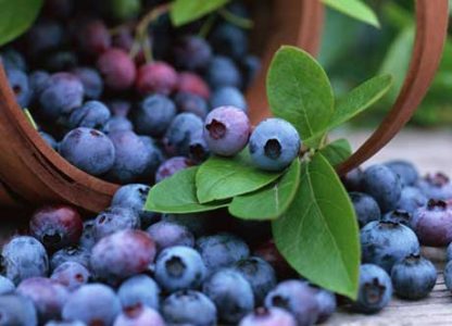 blueberries